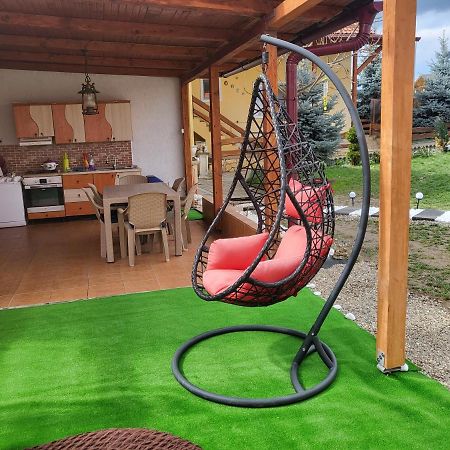 Willa Vila Ana Cu Terasa Gratar Si Jacuzzi Satu Mare Zewnętrze zdjęcie