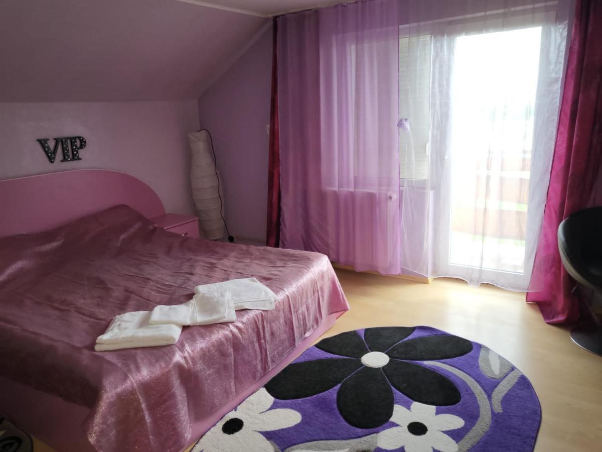 Willa Vila Ana Cu Terasa Gratar Si Jacuzzi Satu Mare Zewnętrze zdjęcie