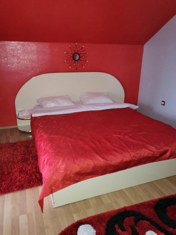 Willa Vila Ana Cu Terasa Gratar Si Jacuzzi Satu Mare Zewnętrze zdjęcie