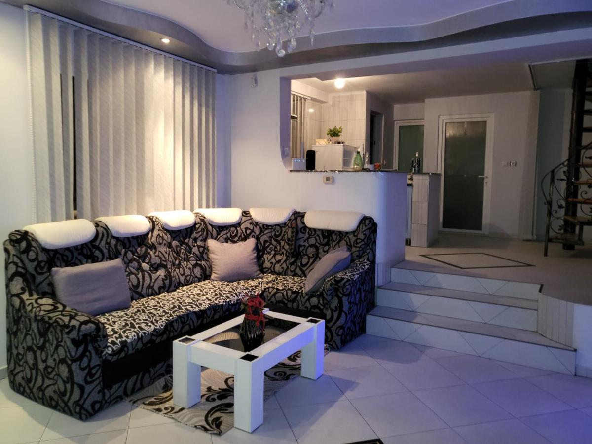 Willa Vila Ana Cu Terasa Gratar Si Jacuzzi Satu Mare Zewnętrze zdjęcie