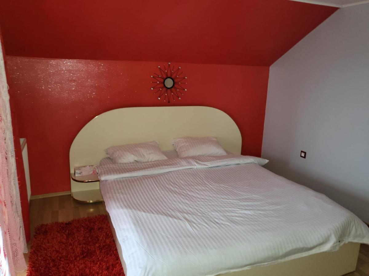 Willa Vila Ana Cu Terasa Gratar Si Jacuzzi Satu Mare Zewnętrze zdjęcie