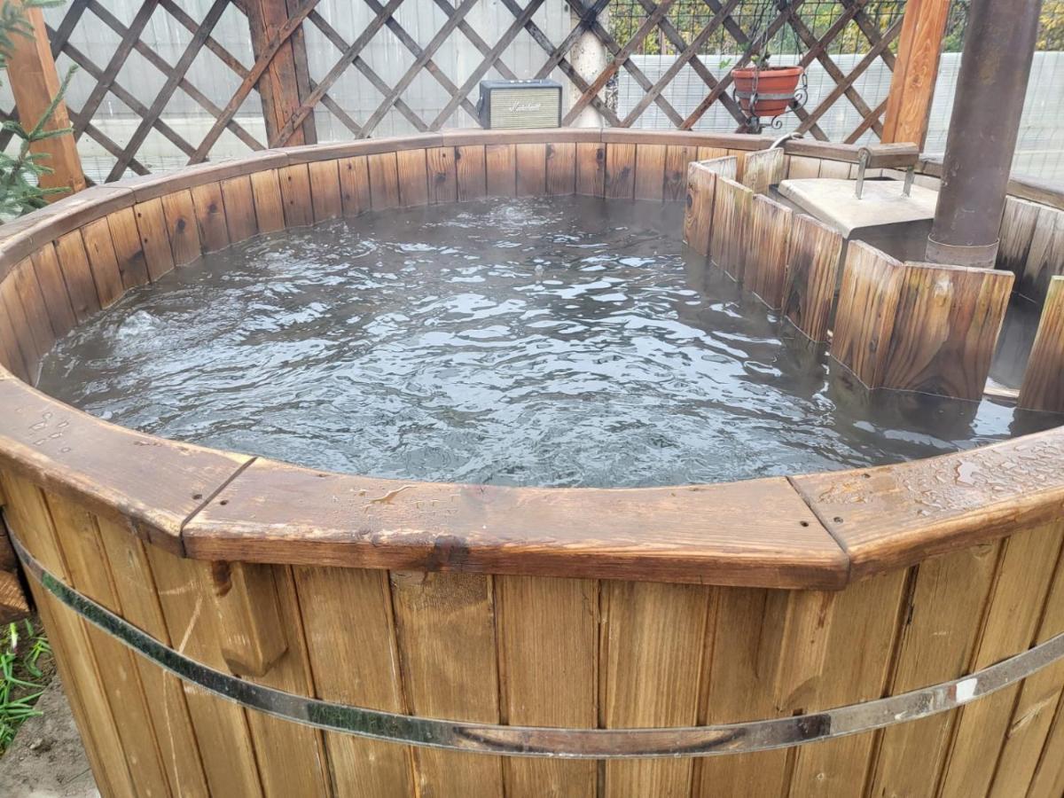 Willa Vila Ana Cu Terasa Gratar Si Jacuzzi Satu Mare Zewnętrze zdjęcie