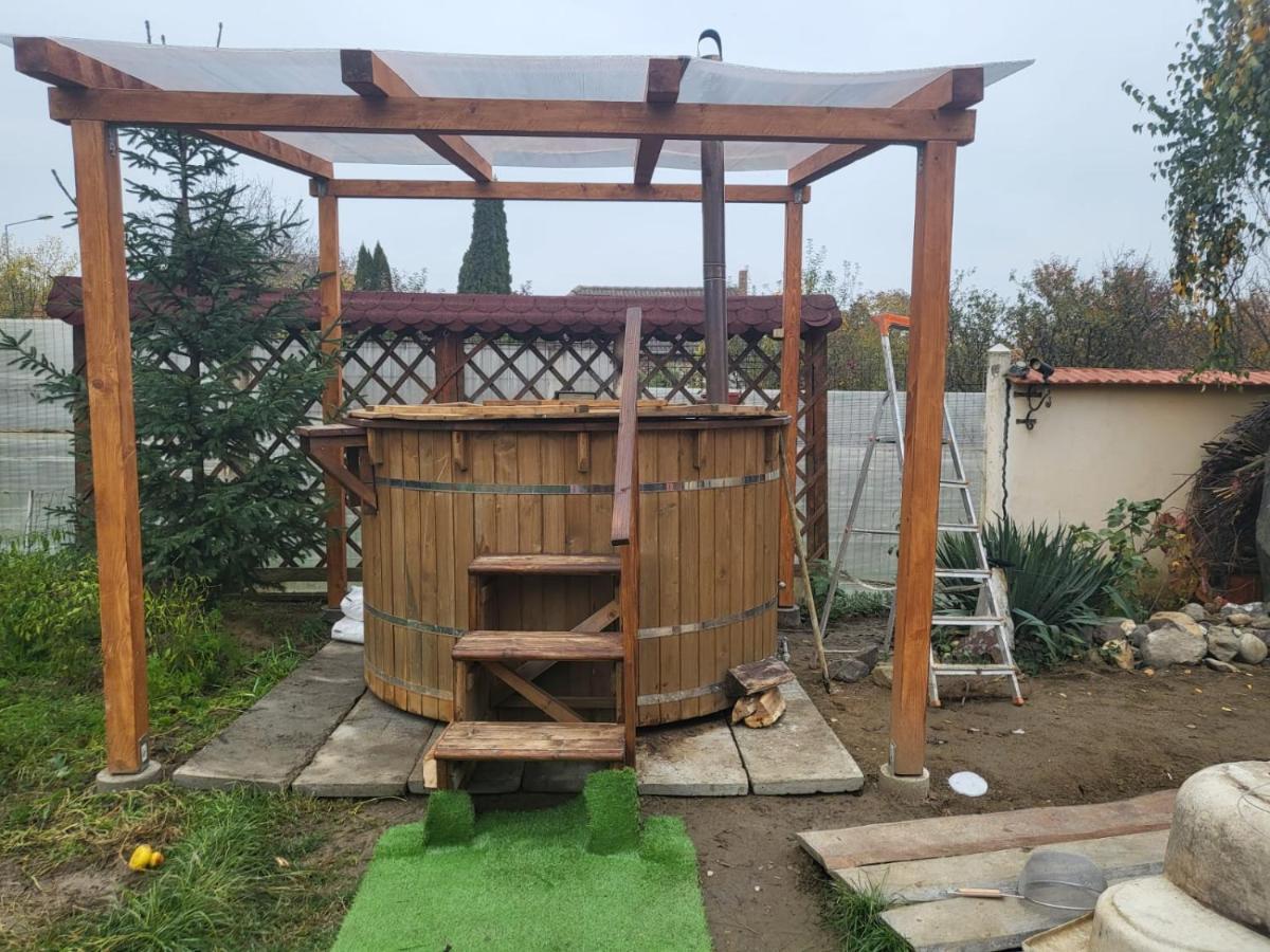 Willa Vila Ana Cu Terasa Gratar Si Jacuzzi Satu Mare Zewnętrze zdjęcie