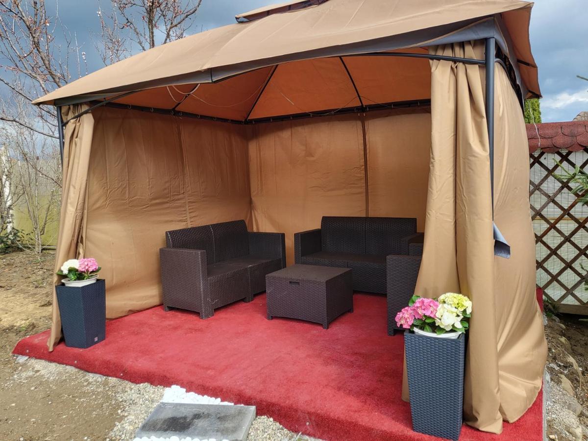 Willa Vila Ana Cu Terasa Gratar Si Jacuzzi Satu Mare Zewnętrze zdjęcie