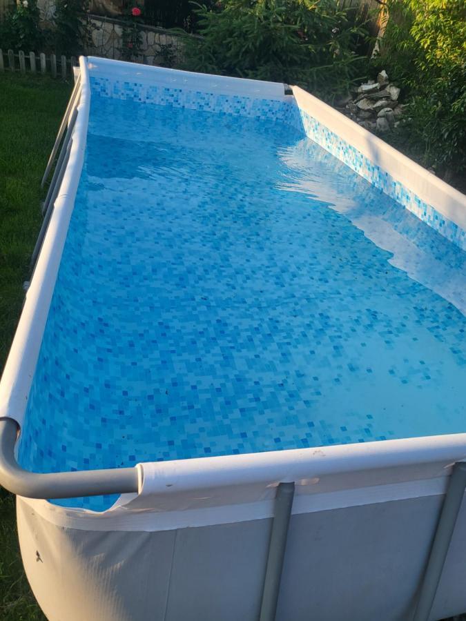 Willa Vila Ana Cu Terasa Gratar Si Jacuzzi Satu Mare Zewnętrze zdjęcie